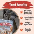 Benefits graphic for Farm to Pet Turkey Feast Chips, 85% minimum protein turkey dog treats