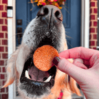 Dog with its mouth open beside Farm to Pet Turkey Feast Chips, a 12 oz bag of turkey treats