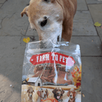 Farm to Pet Turkey Feast Chips shown as a feast for dogs, single-ingredient turkey breast treats
