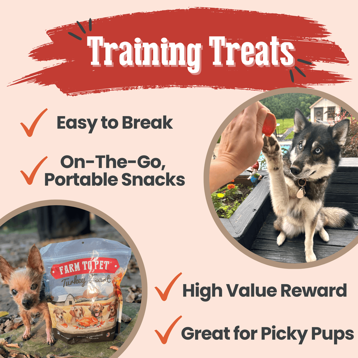 Training treats graphic for Farm to Pet Turkey Feast Chips, about 7 calories per chip