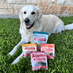 Farm to Pet Fish Chips as training treats for dogs, the walleye flavor in the Puppy Pack