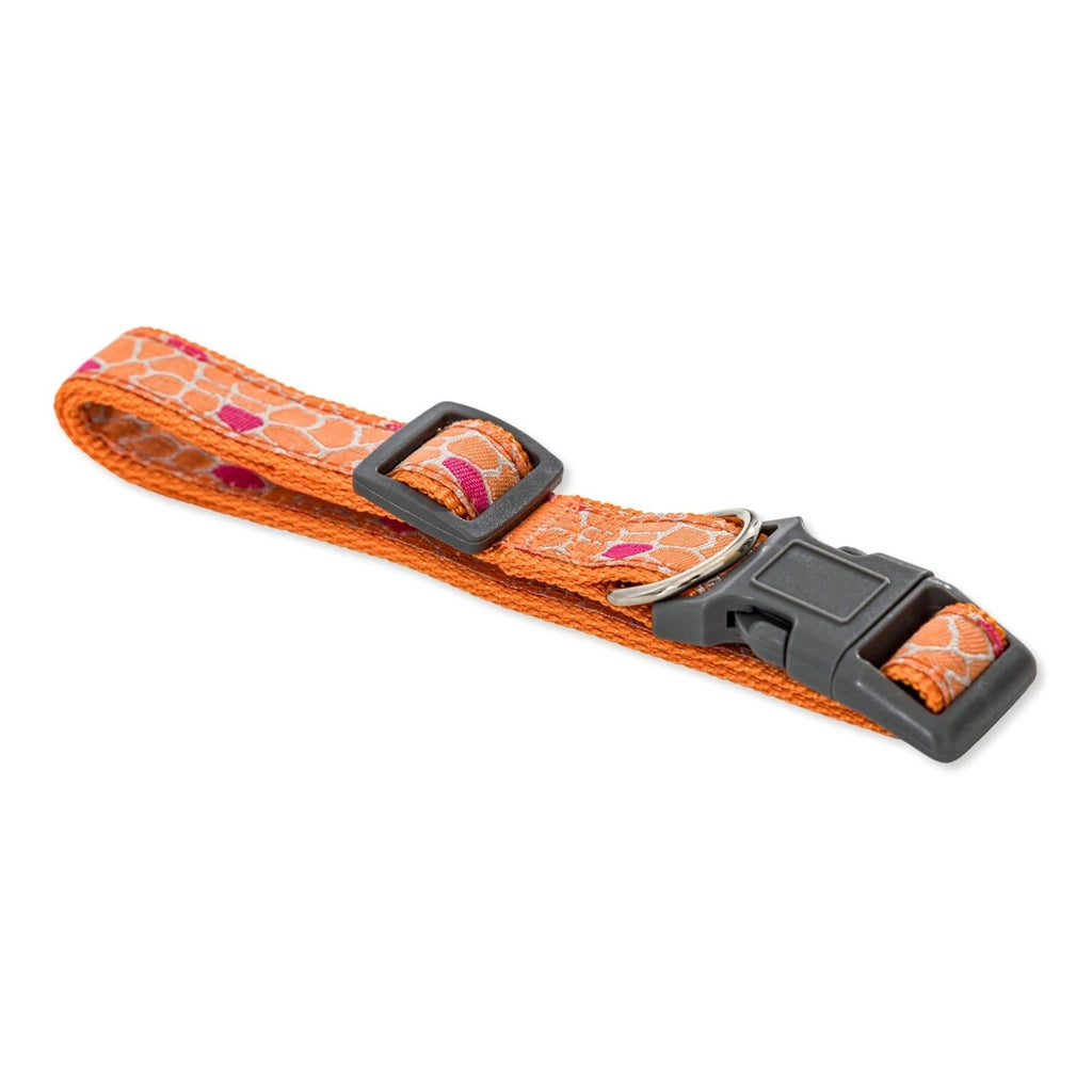 Colorful giraffe embroidery on an adjustable nylon dog collar made for everyday walks