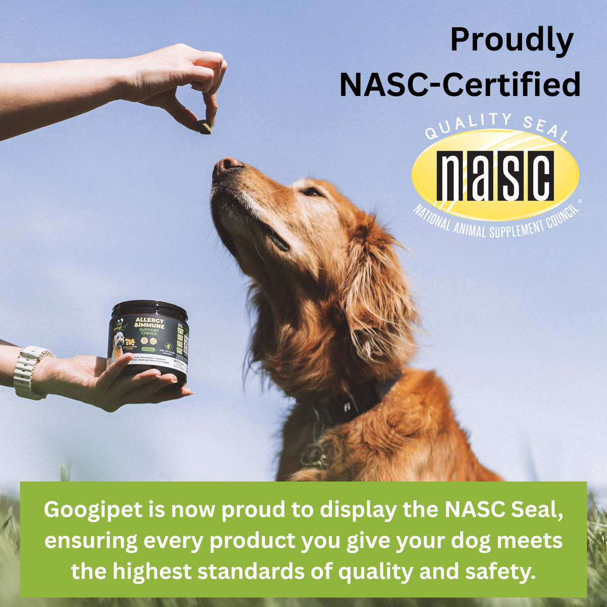 NASC Certified mark for Googipet 10-in-1 Multivitamin chicken-flavor soft chews for dogs