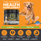 Peanut butter and pumpkin Googipet multivitamin with 400 mg glucosamine to help support joints