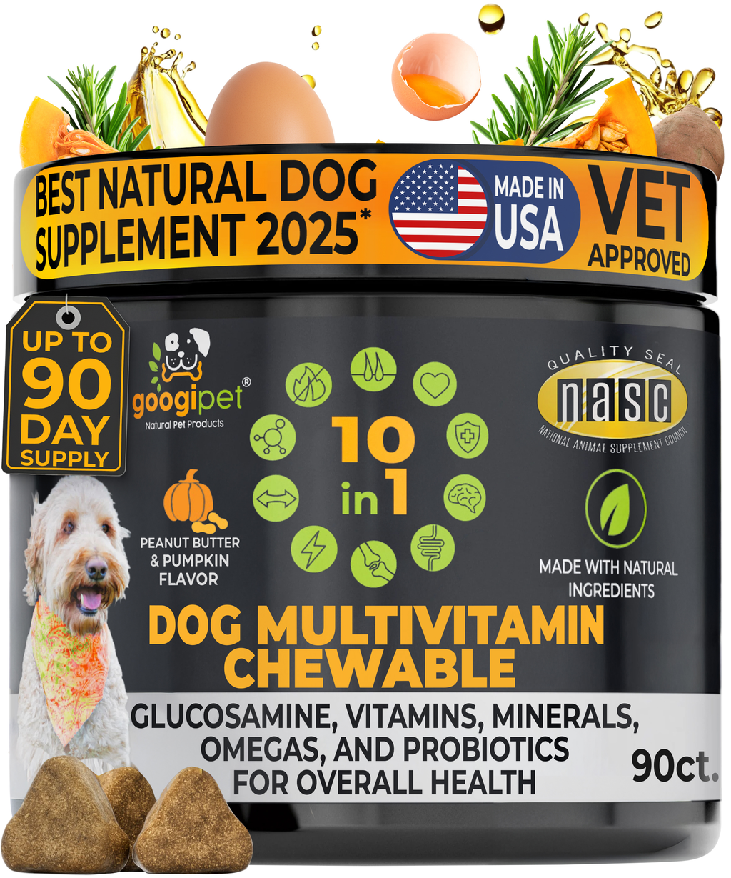 Googipet 10-in-1 Multivitamin Chews for dogs in peanut butter and pumpkin flavor, 90 soft chews