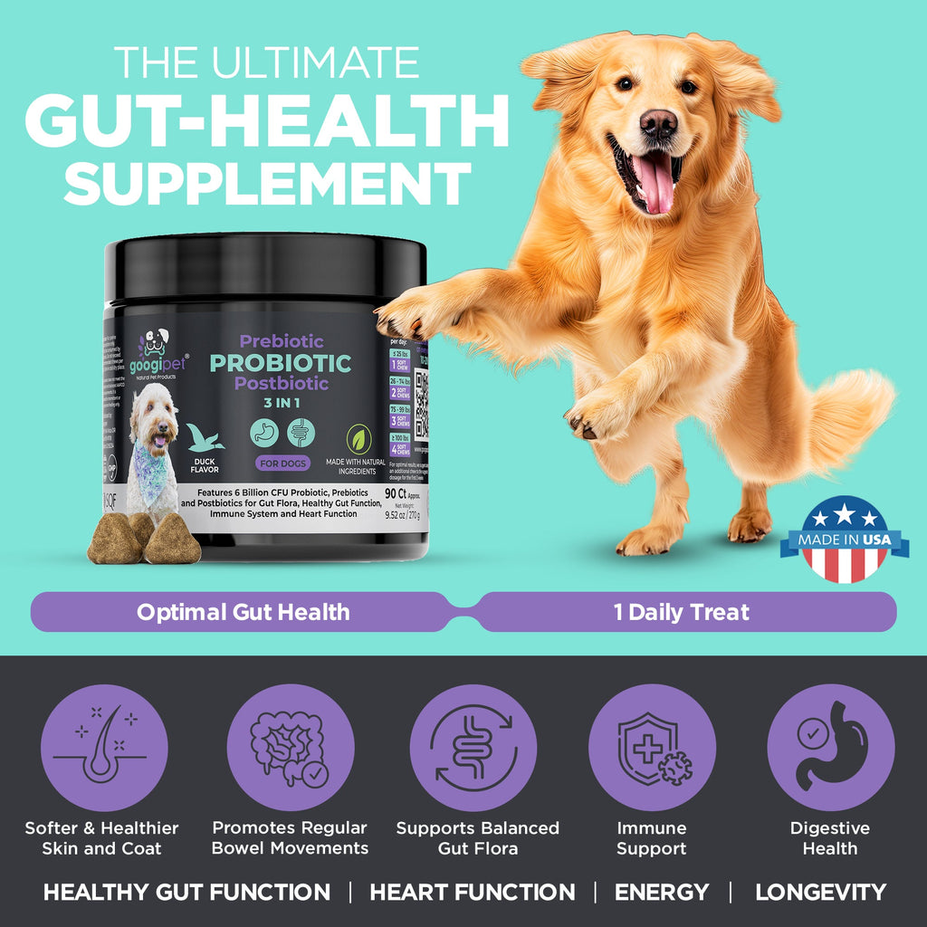 Googipet 3-in-1 dog probiotic chews with 1 billion Bacillus coagulans to help support gut flora