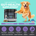 Googipet 3-in-1 dog probiotic chews with 1 billion Bacillus coagulans to help support gut flora