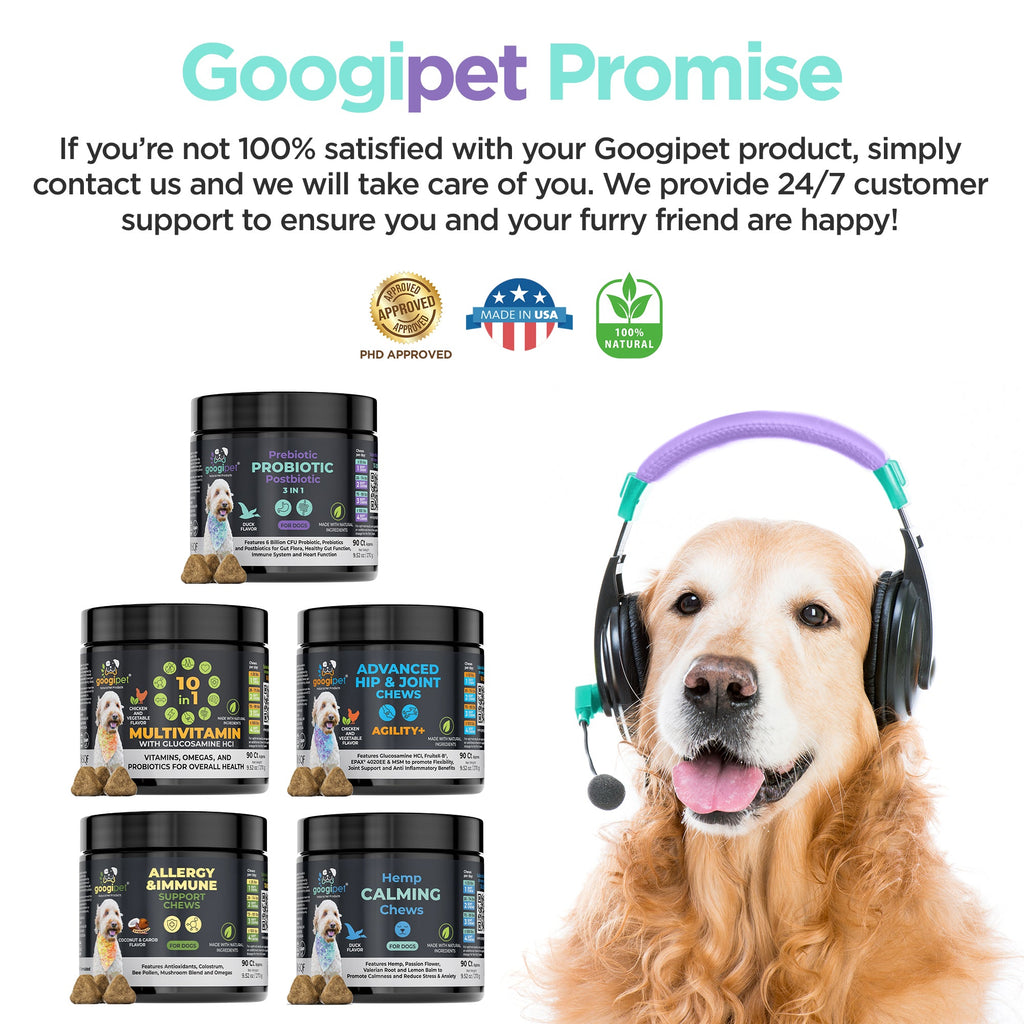 Googipet 3-in-1 Probiotic Chews for dogs, made in the USA in a GMP-certified facility