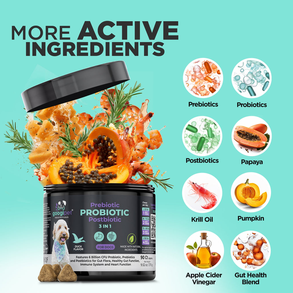 Googipet probiotic soft chews with pumpkin, apple cider vinegar and papaya for digestive support