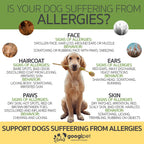 Googipet coconut & carob immune support soft chews for dogs, made in the USA