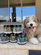 Googipet Allergy & Immune Support Chews, coconut & carob, formulated by PhD experts for dogs