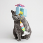 Hanging cat teaser that saves floor space in apartments, with varying bounce speed