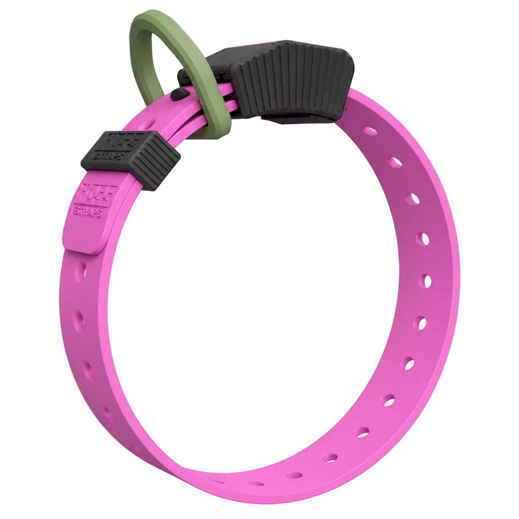The Barney colorway of the Hoss Straps Field Collar, a no-stretch waterproof dog collar