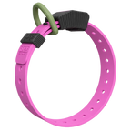 The Barney colorway of the Hoss Straps Field Collar, a no-stretch waterproof dog collar