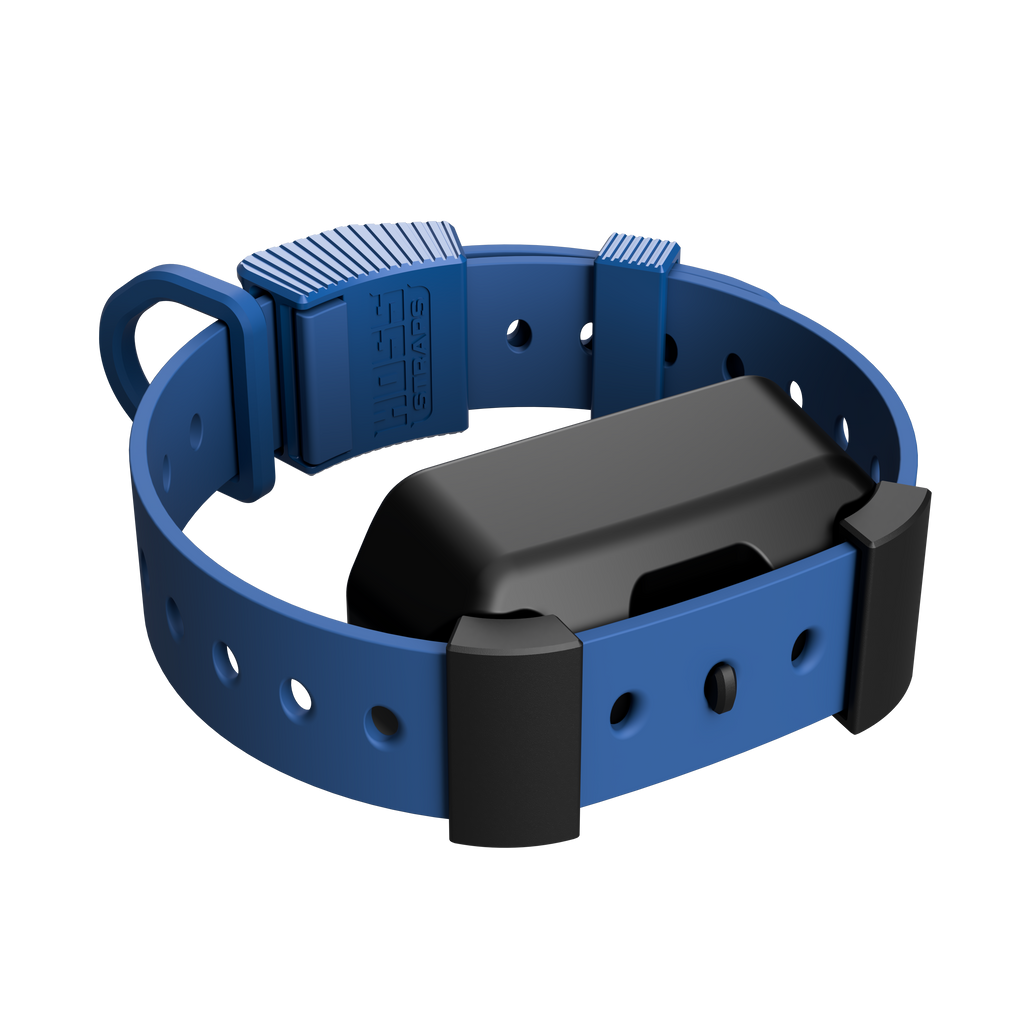 Cobalt Blue Hoss Straps Training Collar Setup with the adapter for Garmin training devices