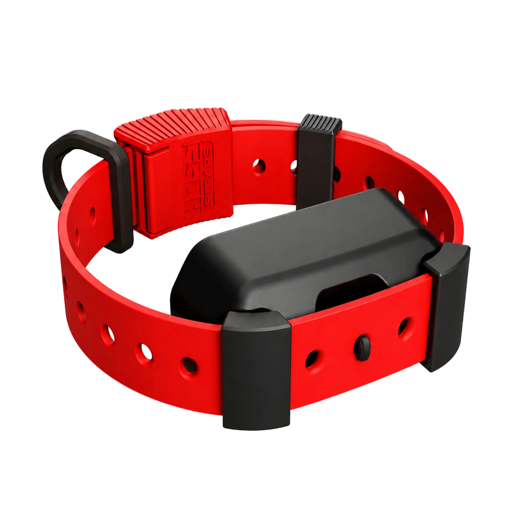 Red Hoss Straps Training Collar Setup for running a Garmin unit on a weatherproof strap