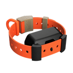 Upland color Hoss Straps Training Collar Setup, a Field Collar paired with the Hoss Adapter Kit