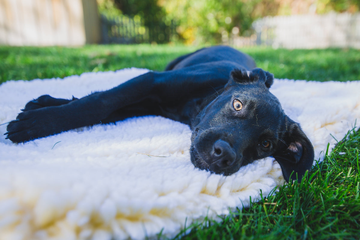 Stuffing-free HuggleFleece Mat by HuggleHounds, a portable bed for home and travel