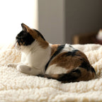 Soft HuggleFleece Mat crate bed by HuggleHounds that washes clean after potty accidents