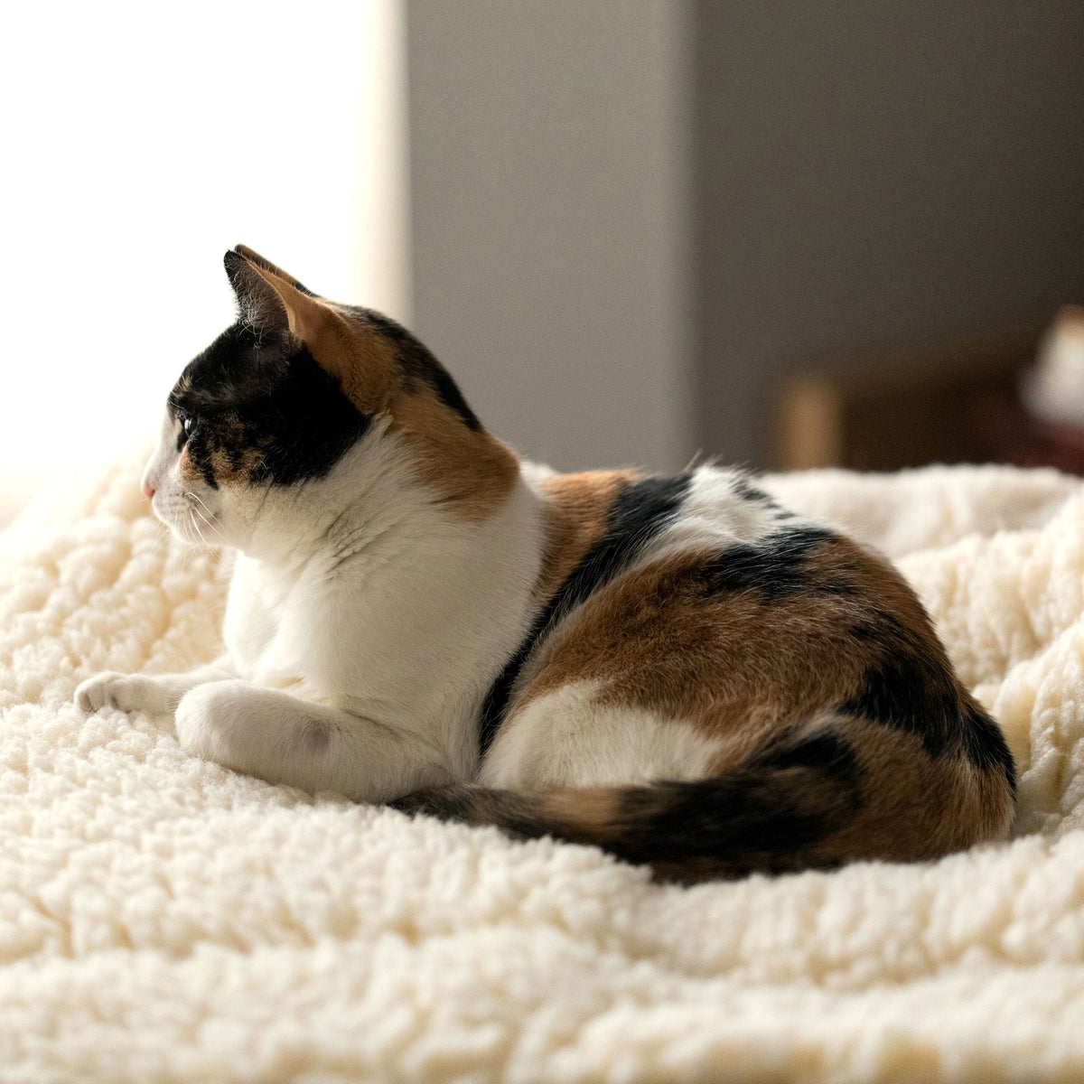 Soft HuggleFleece Mat crate bed by HuggleHounds that washes clean after potty accidents