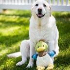 Dilly Duck Knottie plush duck dog toy from HuggleHounds, made for squeaking, carrying and cuddles