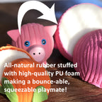 HuggleHounds Ruff-Tex graphic showing the PU foam filling inside the latex Hamlet Pig ball