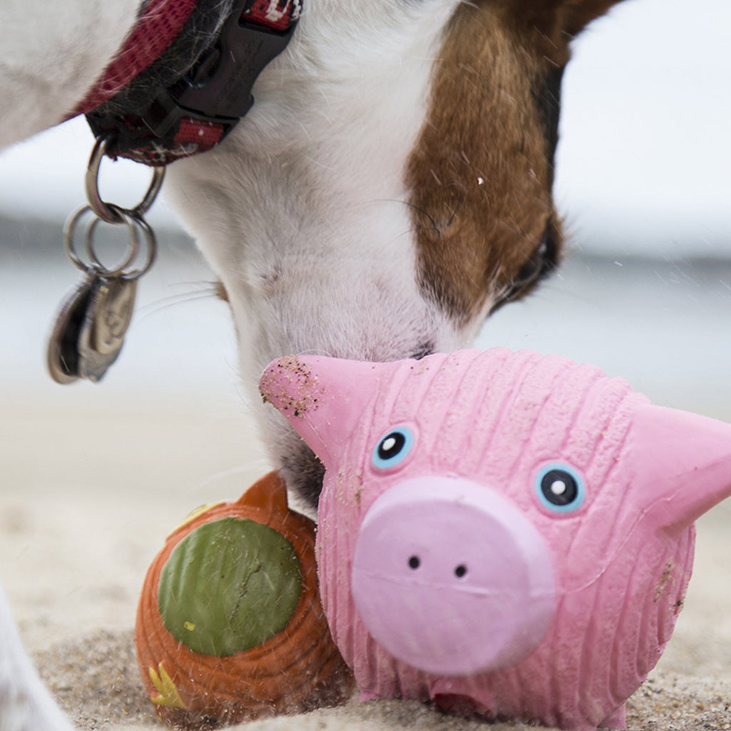 Pink HuggleHounds Hamlet Pig Ruff-Tex in hand-painted natural latex with a corduroy texture