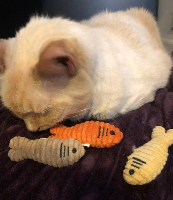 HuggleKats Sardinies, sardine-shaped corduroy cat toys with catnip and crinkle inside
