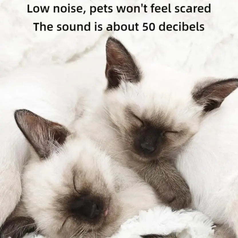 Quiet nail grinder keeping an anxious pet calm during nail grooming.