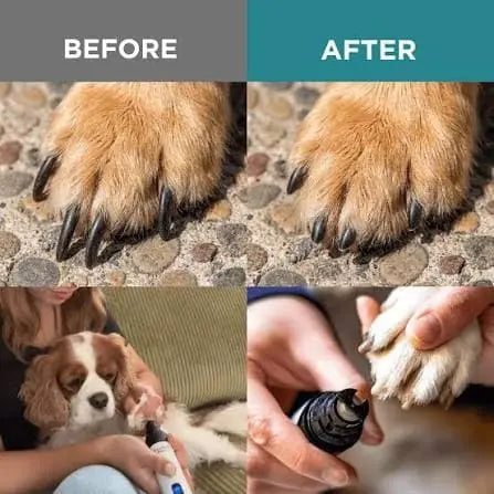 PawEase nail grinder suitable for dogs, cats, and small animals of every size.