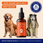 Daily Liquid Supplement for Dogs bottle, NMN and CoQ10 drops for energy and healthy aging, front.