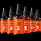 Daily liquid dog supplement added to a dog's food bowl with a dropper.