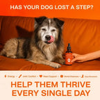 Weight-based dosing guide for the daily liquid dog supplement by dropper.
