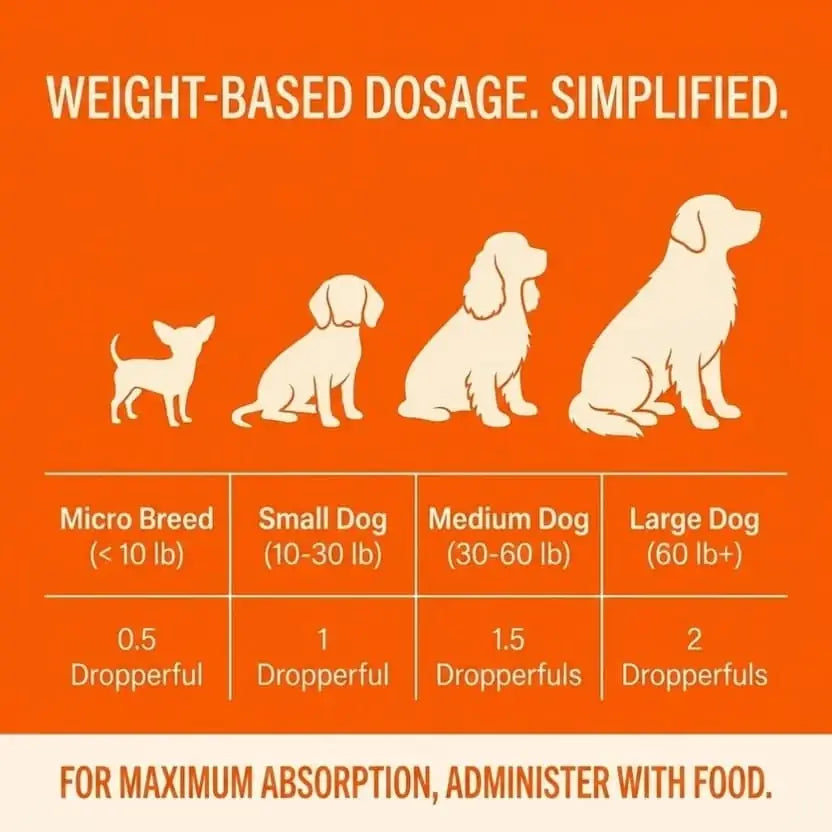 Liquid dog supplement supporting energy, movement, and mental sharpness in aging dogs.