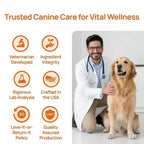 Senior dog active and engaged after daily use of the liquid supplement.