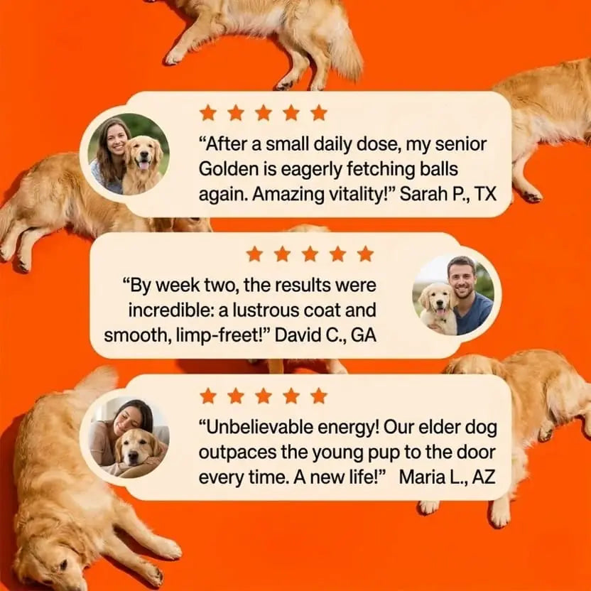Daily Liquid Supplement for Dogs available in 1, 3, or 6 bottle packs.
