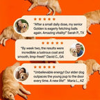 Daily Liquid Supplement for Dogs available in 1, 3, or 6 bottle packs.