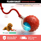 Interactive self-moving motion ball for dogs and cats