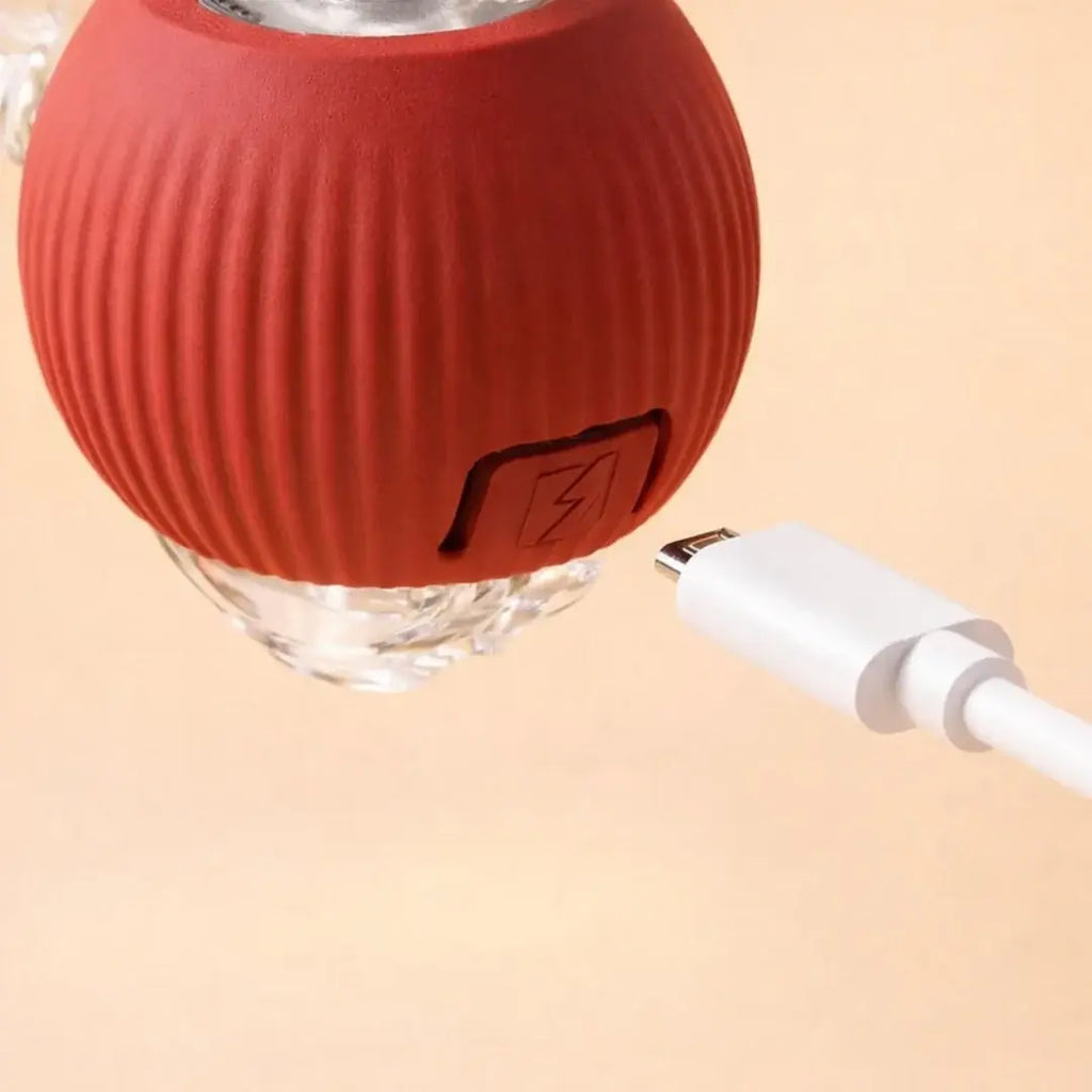 Cat playing with the interactive motion ball