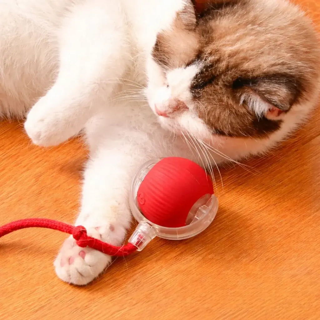 Motion ball with detachable rope tail