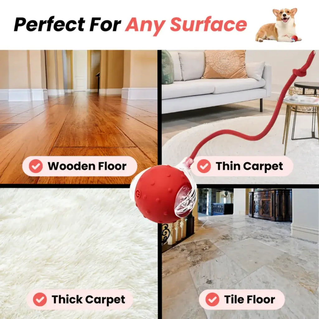Non-toxic plastic and silicone pet motion ball