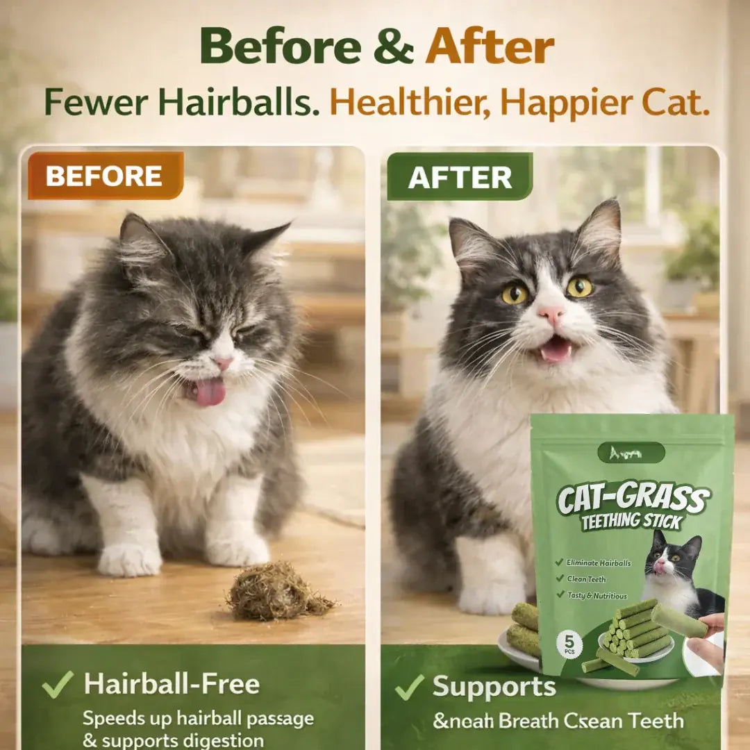 Cat dental chew sticks supporting clean teeth and fresh breath.