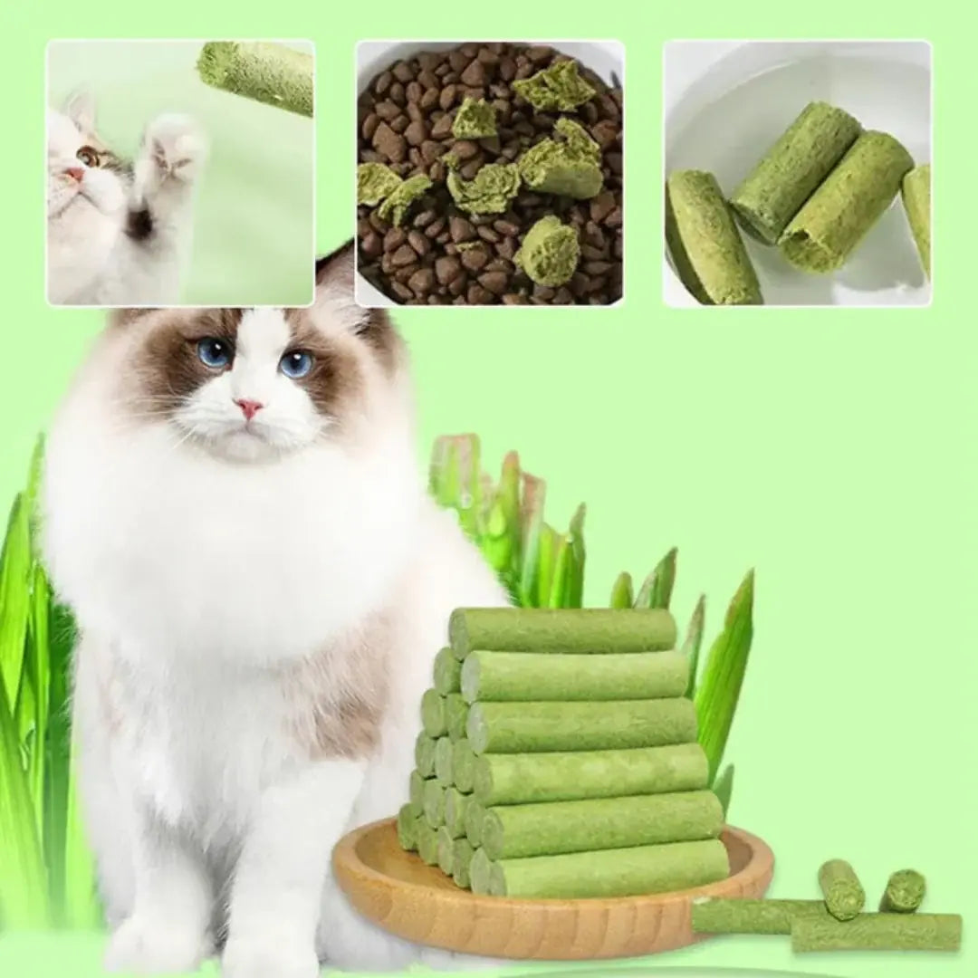 Ingredients of the cat chew sticks: chicken, cat grass, salmon, and fish oil.
