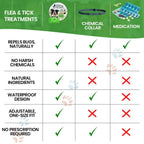 Flea and tick pendant attaching to a collar for everyday use