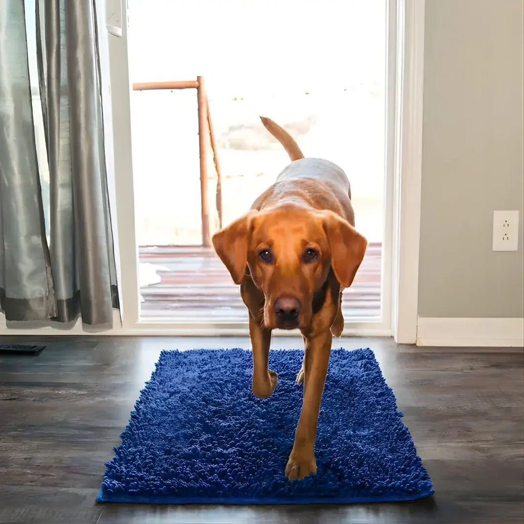 Anti-Mud Dog Door Mat in use by a doorway catching dirt and moisture.