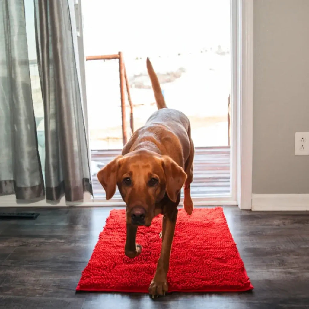 Machine washable chenille dog mat shown with size options for small to large dogs.