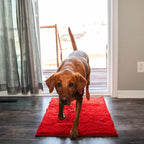Machine washable chenille dog mat shown with size options for small to large dogs.