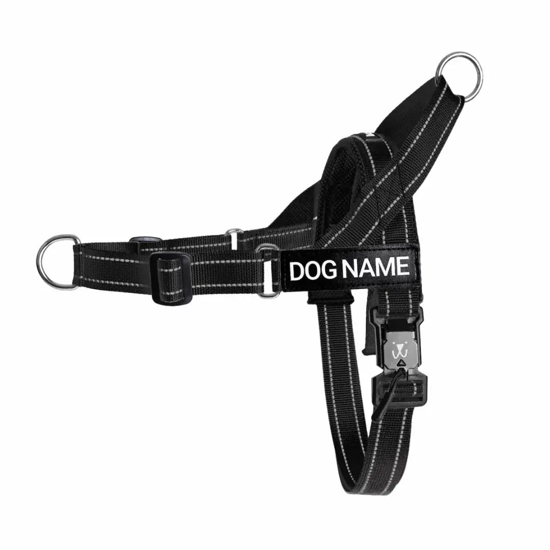 EasyFit no-pull personalized dog harness, Midnight