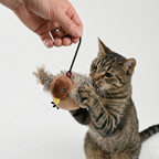 Interactive sparrow toy with chirping sounds and wing flaps to get indoor cats moving