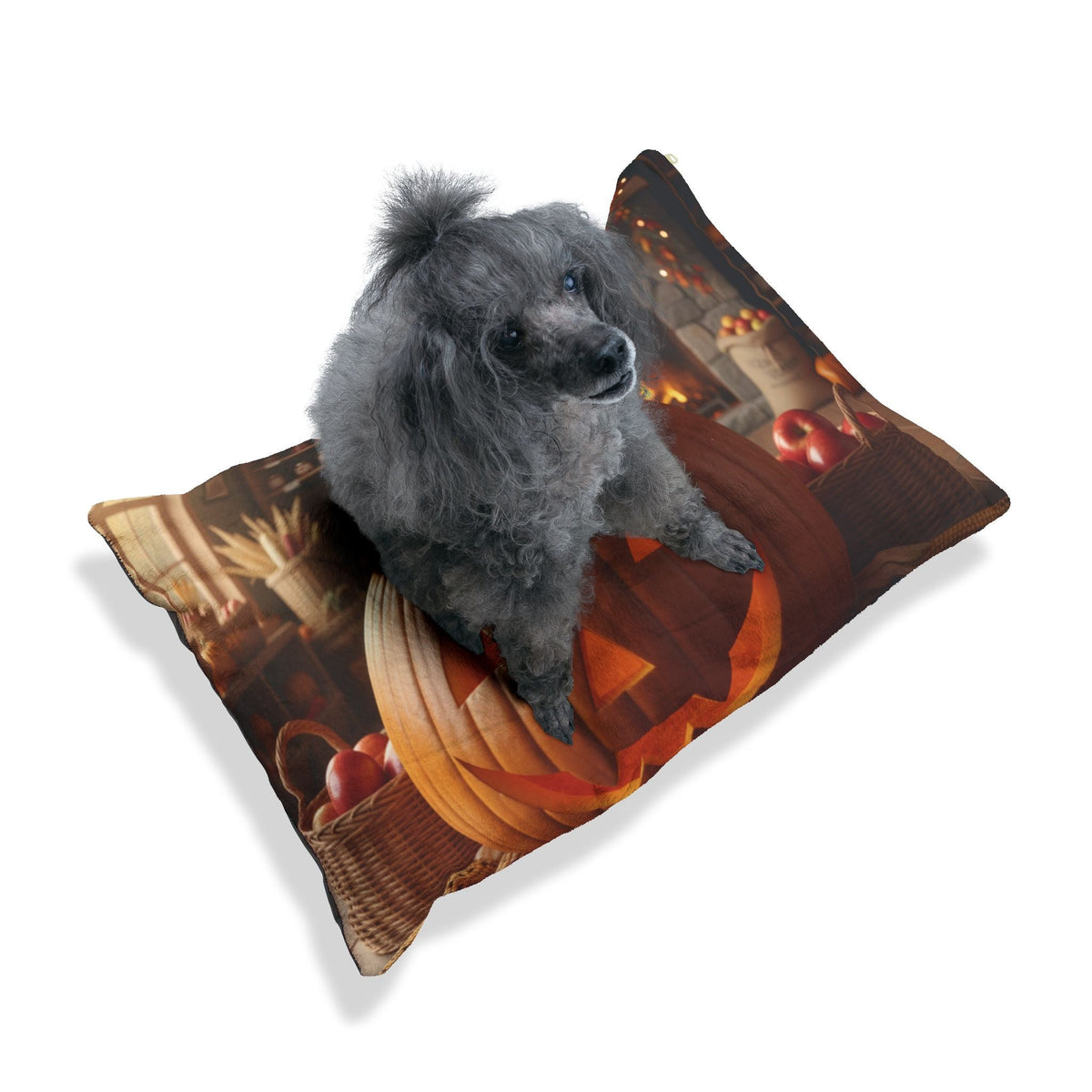 Jack-o'-lantern pet bed with a 100% cotton underside for indoor floors